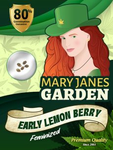Early Lemon Berry Strain Feminized