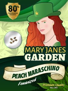 Peach Maraschino Strain Feminized