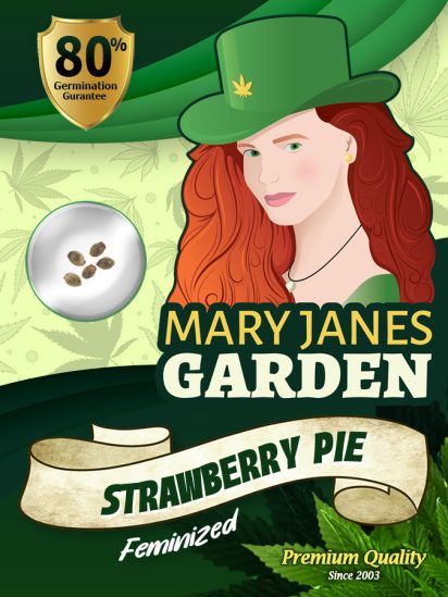 Strawberry Pie Strain Feminized