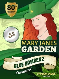 blue bomberz