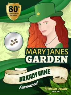 Brandywine