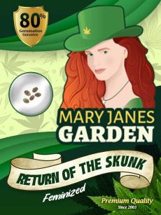 return of the skunk